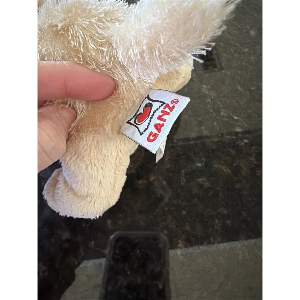 GANZ no stains